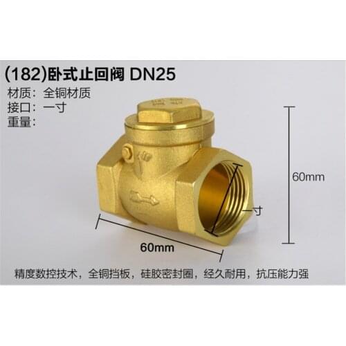 Brass 1" Female BSPP Thread Swing Check Valve