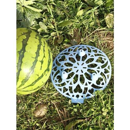 Melon fruit planting tray garden agricultural melon fruit anticorrosive rotten plastic stable tray Recyclable fruit accepted