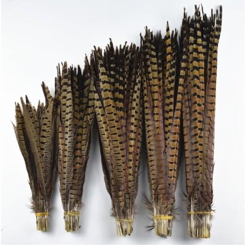 Wholesale 25-75CM 10-30" Natural Ringneck Pheasant Tail Feathers For Crafts Wedding Decorations DIY decor natural feathers plume