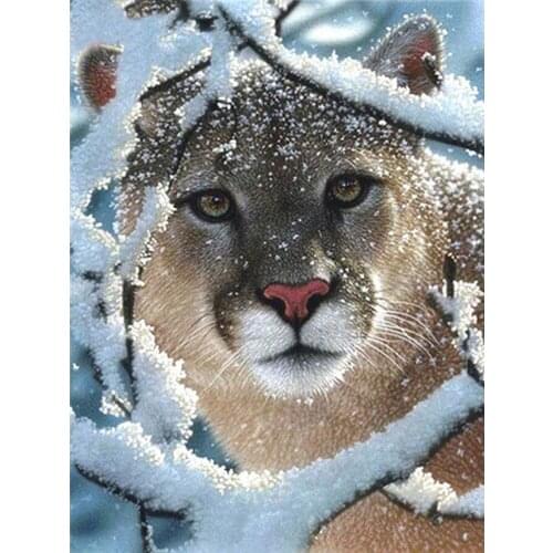 Hot Full Square/Round Diamonds 5D DIY Diamond Painting Snow Leopard Diamond Art Embroidery Cross Stitch Mosaic Home Decor Gifts