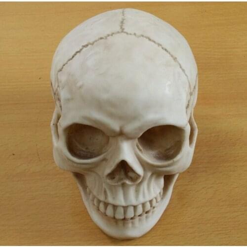 20cm Skullduggery Toys 1:1 Funny Resin Skull Collection Halloween Skull Head Decor Model Horror Gags Toy Kids Science Education