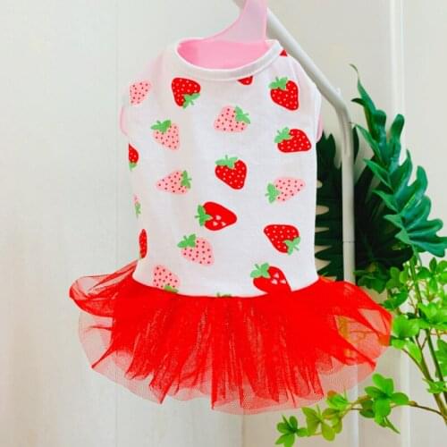 Cute Strawberry Dog Dress Summer Pet Dog Clothes Skirt Pomeranian Poodle Bichon Frise Schnauzer Dog Clothing Pet Costume Outfits