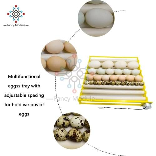 360° Automatic Rotary Egg Turner Roller Tray Eggs Incubator Accessories Roller Pattern Egg Turner Tray 42 Eggs 110V 220V Kit