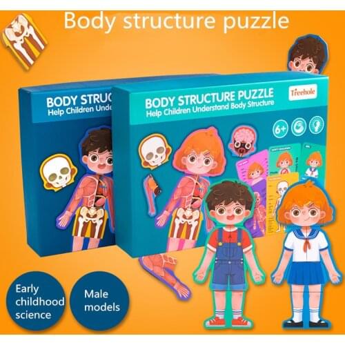 Toys Human Body Structure Cognitive Children Bio Wooden Puzzle Boy Girl Safety Early Education Books Manga Comic Kids Libros Art