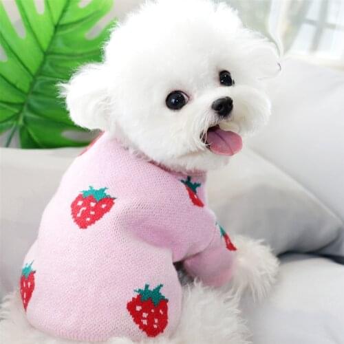 Autumn/Winter Small Dog Sweater Strawberry Print Pet Sweater Cat Teddy Bichon Hiromi Schnauzer Yorkshire Poodle Dog Clothes