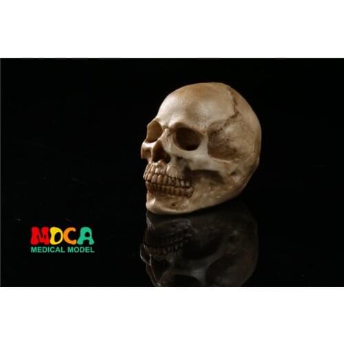 Resin skull Halloween gifts personal ornaments home accessories GXGT013
