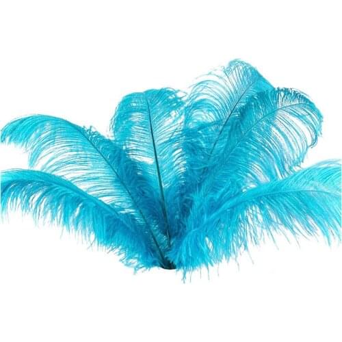 10 pcs Natural Ostrich Feathers Wedding Party Decoration Lake blue 20-25cm