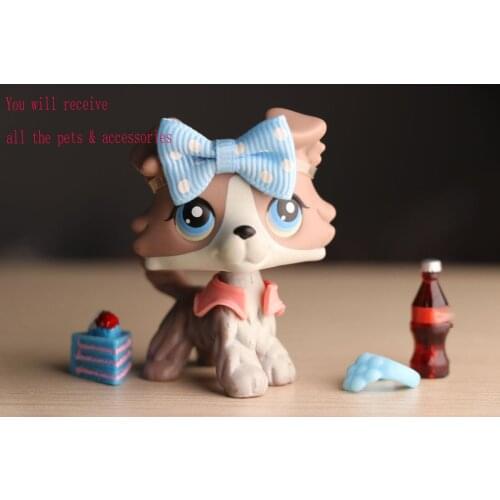 Pet Shop Grey Collie #67 Blue Eyes With Littlest Accessories Lot Collection Figure Magnet Boys Girls Kids Gift