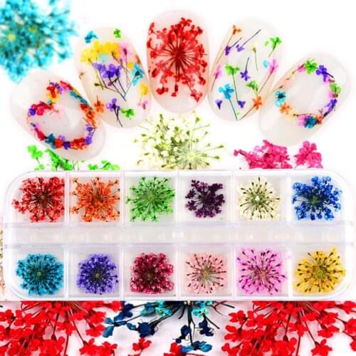 24Pcs Real Pressed Flower Annes Lace Dried Flower Nail Art Resin Crystal Epoxy Filler Jewelry Making Flower Diameter 1.5cm