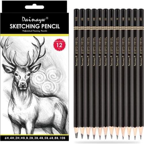 Dainayw Professional Drawing Sketching Pencil Set 12 Pcs Various Hardness Graphite Shading Art Pencils for Beginners Pro Artist