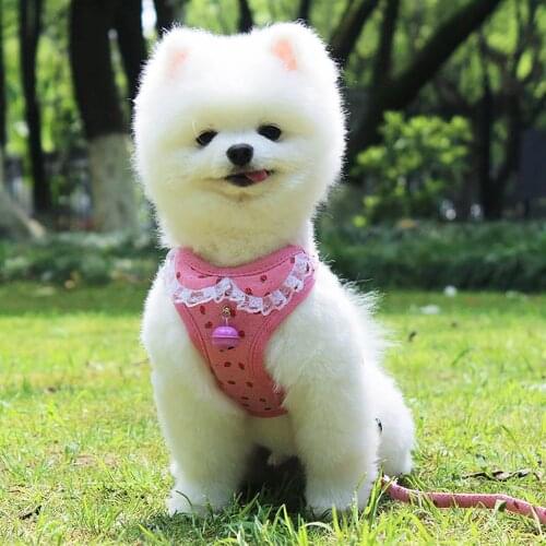 Spring Summer New Dog Harness Bells Bowknot Little Dog Leash Breathable Mesh Pet Breast Sling Teddy Pug Cat Breastplate Collar