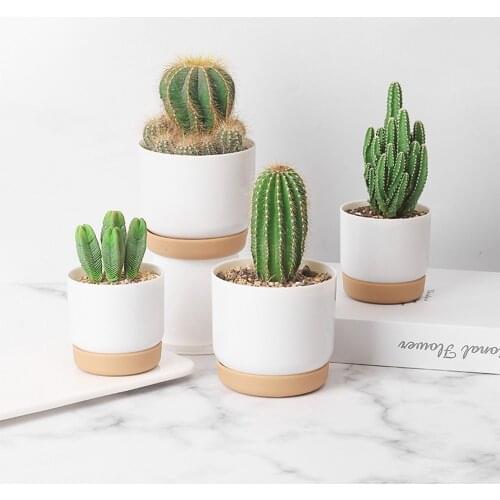 Succulent Plant Pot Double-Layer Green Dill Small Green Plant Flower Pot Garden Planter Flower Pot Vase For Desktop Decoration