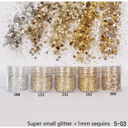 5 bottles/set Champagne Silver Color Nail Glitter Powder Mixed Nail Art Decorations Nail Sparkles Makeup Glitter Dust Nail Set