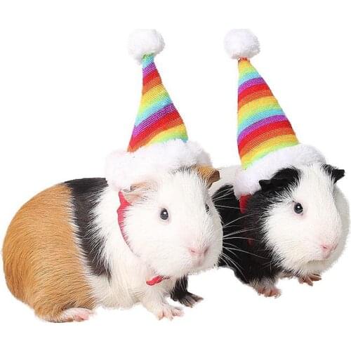Pet Rabbit Rat Kitten Rainbow Cap with Elastic Band Christmas Hat Cat Accessories