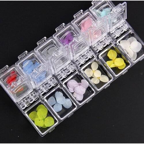 1Box 24Pcs Real Nail Hydrangea Dried Flowers Nail Art Decoration DIY Tips Small Flowers Nails Stickers For Manicure Tools