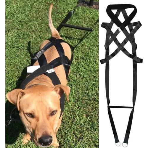 Large Dog Harness Leashes Well Trained Dog Sled Weight Pulling Harnesses For Bikejoring/ Skijoring/Dog Sledding/Canicross