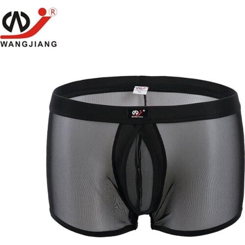 3pcs/lot Transparent Mens Sexy Underwear Sexy Gay Mens Underwear Cuecas Boxers Lace Underwear For Men Sexy Erotic Homens 1003-PJ