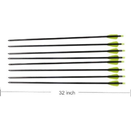 6/12pcs With Replacement Screw-In Archery Frp Hunting Arrow Recurve Compound Bow With Replaceable Metal Tip