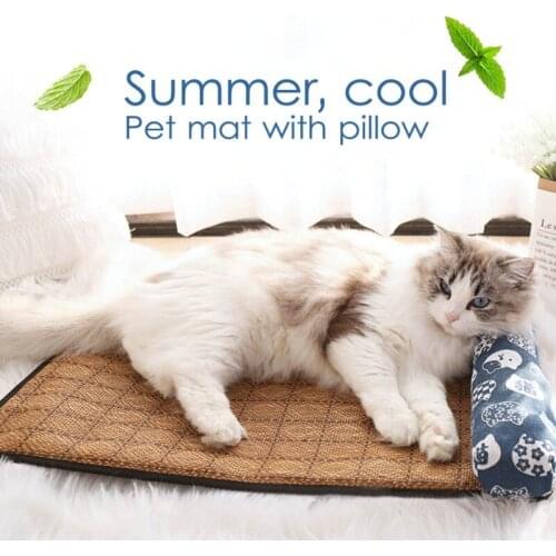 Summer Kennel Cat Litter Mat Moisture-proof Non-slip Non-sticky Cool Nest With Pillow Cooling Bamboo Pet Dog Cats Bed Mats 2021