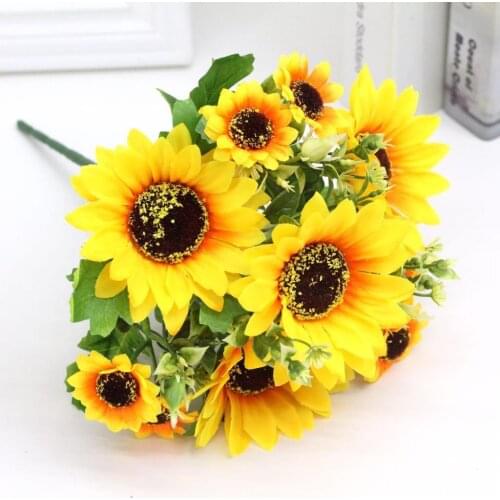 PLT Home And Garden Products