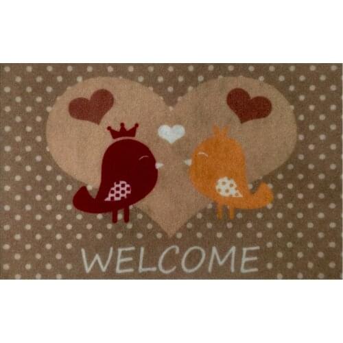 Entrance Carpets For Home Giz Home China