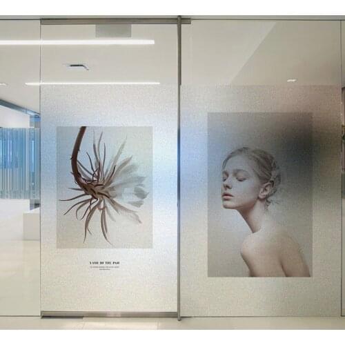 No Glue Decorative Window Film Static Cling Window Sticker Frosted Glass Sticker Art Painting Flowers Girl For Shower Door
