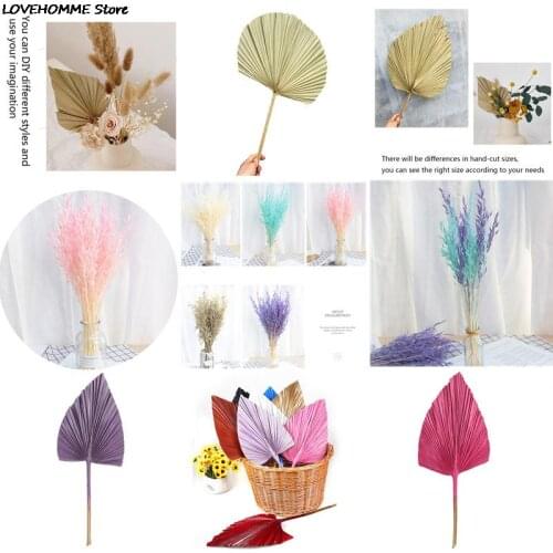 Palm Fan Leaf Dried Flower Palm Leaf Window Reception Party Art Wall Hanging Decoration Wedding Arch Arrangement Wall Hanging