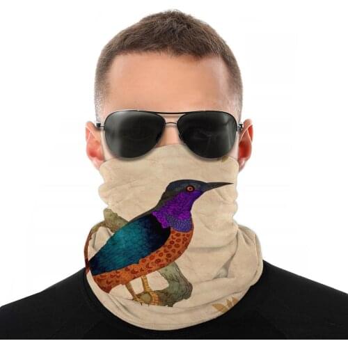 Colorful Bird Scarf Neck Face Mask Men Women Fashion Tube Scarf Neck Bandanas Protective Headband Outdoor Hiking