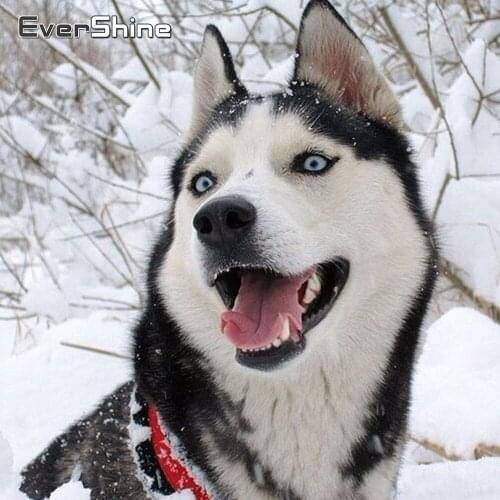 Evershine Diamond Embroidery Dog Full Drill Square Diamond Painting Animals Cross Stitch Diamond Mosaic Scenery Snow Diamond Art