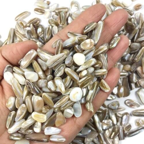 Wholesale 50g 3 Kinds Shell Conch Gravel Stones Quartz Crystal Rock Energy Mineral Crystal Stones and Crystals