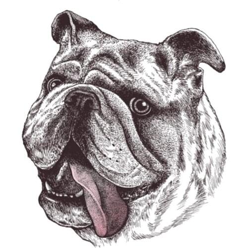 B0601# 13CM 17CM Self-Adhesive Decal Bulldog Car Sticker Waterproof Auto Decors on Bumper Rear Window