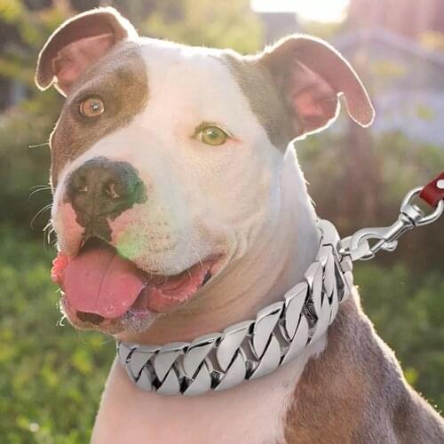 Luxury Dog Strong Metal Gold Silver Chain Collars Stainless Steel Pet Training Collar For Medium Large Dogs French Bulldog TGL02