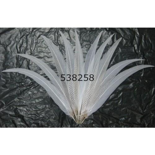 Silver pheasant feathers 45-50cm natural pure white color for craft dancer decoration plumages
