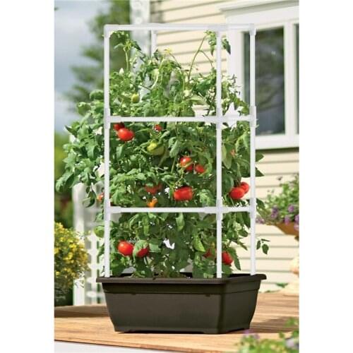 Climbing Plant Support Cage Garden Plant Flower Trellis Frame Vine Holder Display Rack Decor Garden Tool Durable Iron Tube