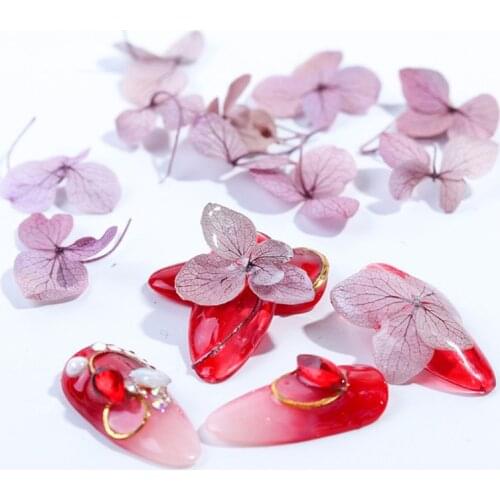 Dried Flowers DIY Epoxy Resin Handmade Crafts Filling Materials