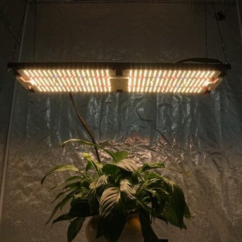 Kingbrite 240w separately control led lights for bicycle ,samsung lm301H full spectrum phytolamp