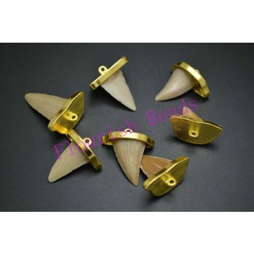 5pc Real Shark Teeth Gold Caps Bead Charm & Pendants Fit Jewelry Making And Clothing Design DIY Findings Free shipping