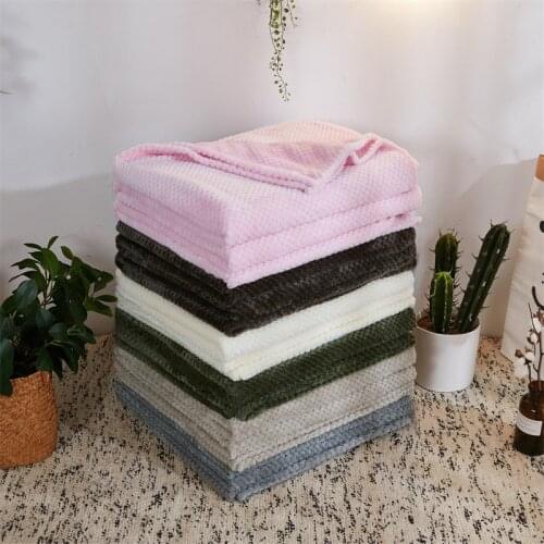 Thickened Solid Color Mesh Pineapple Grid Blanket Flannel Cover Blanket Coral Fleece Air Conditioning Blanket Gift Blanket