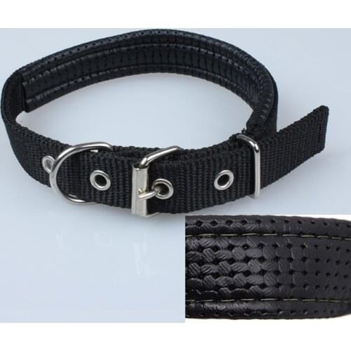 Аксессуары для собак Jogging Time China At AliExpress