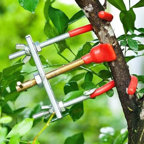 Bonsai Branch Bender Exceptional Wonderful Gyrate Installation Made By Tian Bonsai Tools