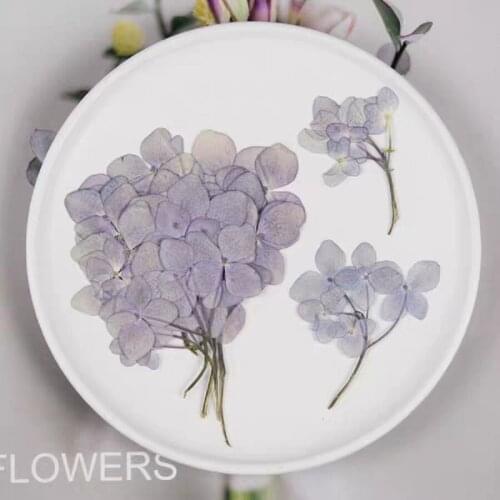 30pcs Pressed Dried Multi-start Hydrang Flower Plants For Epoxy Resin Pendant Jewelry Phone Case Bookmarks Card Making Craft DIY