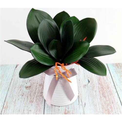 Phalaenopsis Leaf Simulation Real Touch Artificial Plant Decorative Flowers Auxiliary Material Flower Decoration Orchid Leaves