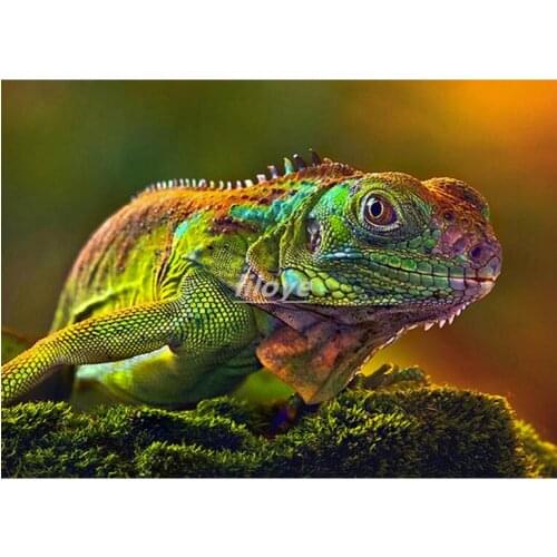 Full Round / Square 5D DIY Diamond Painting Chameleon,Lizards,Diamond Embroidery Cross Stitch rhinestones diamond pictures DF96