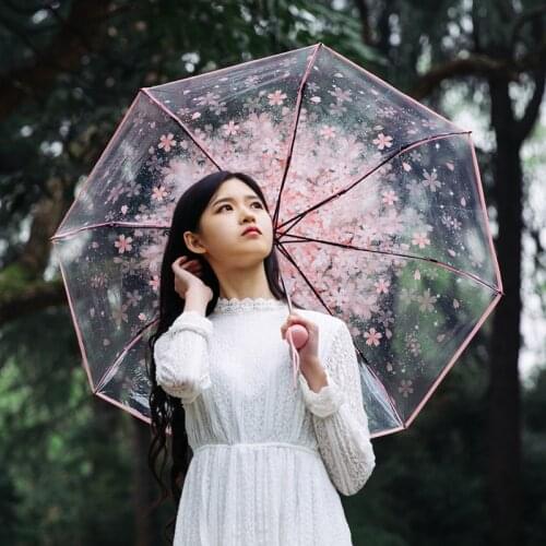 Sakura Umbrella Anime Romantic Women Folding Cute Kids Umbrella Transparent Classic Cherry Paraugas Clear Corporate Gifts 15YX