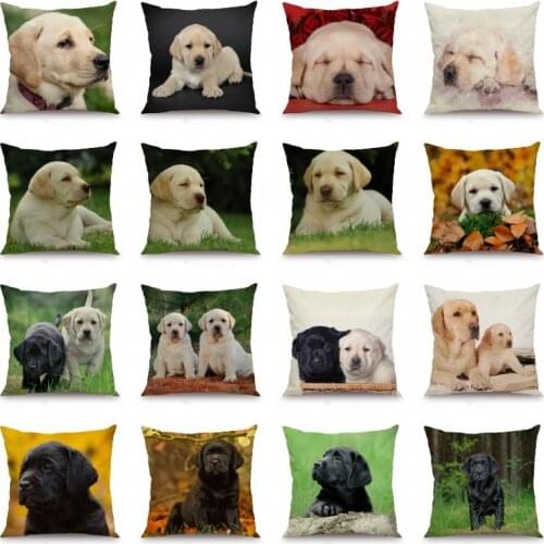 XUNYU Cute Labrador Printed Cushion Cover Dog Style Home Decorative Pillows Case 45x45cm DWG01
