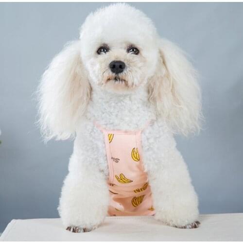 Banana Print Physiological Pants Cute Hygienic Dog Pants Breathable Washable Shorts Female Dog Sanitary Panties Shorts Underwear