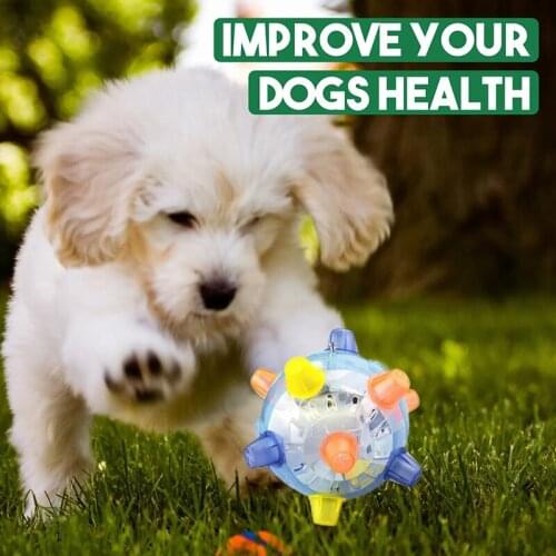 Игрушки Для Собак The Beating Dog Automatically Jumps With The Flashing Ball Sound Of The Activated Ball Dog Toys Симпл Димпл