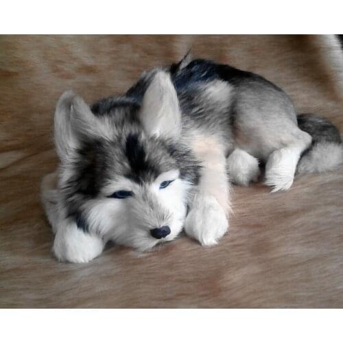 Simulation cute lying husky 40x30x14cm model polyethylene&furs dog model home decoration props ,model gift d412