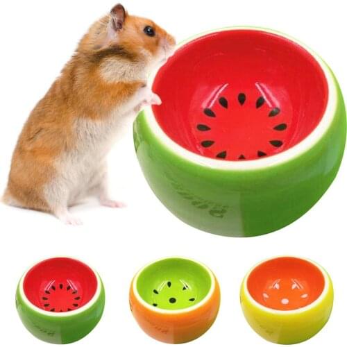 Pet Ceramic Bowl Semi-dome