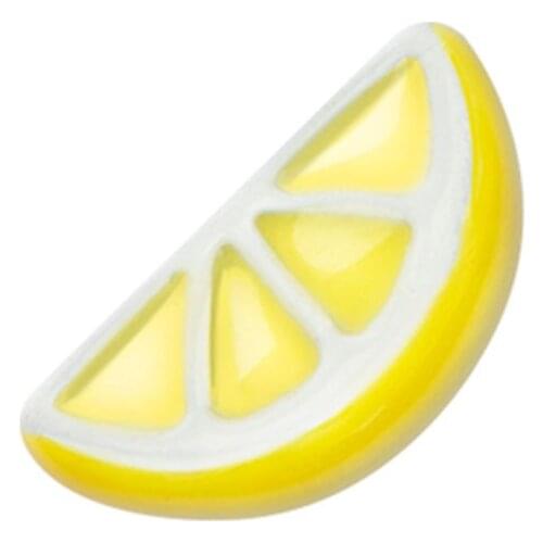 10pcs Lemon Slice Charm floating charms for Living glass locket